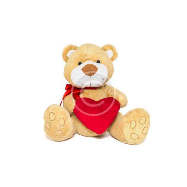 Teddy Bear